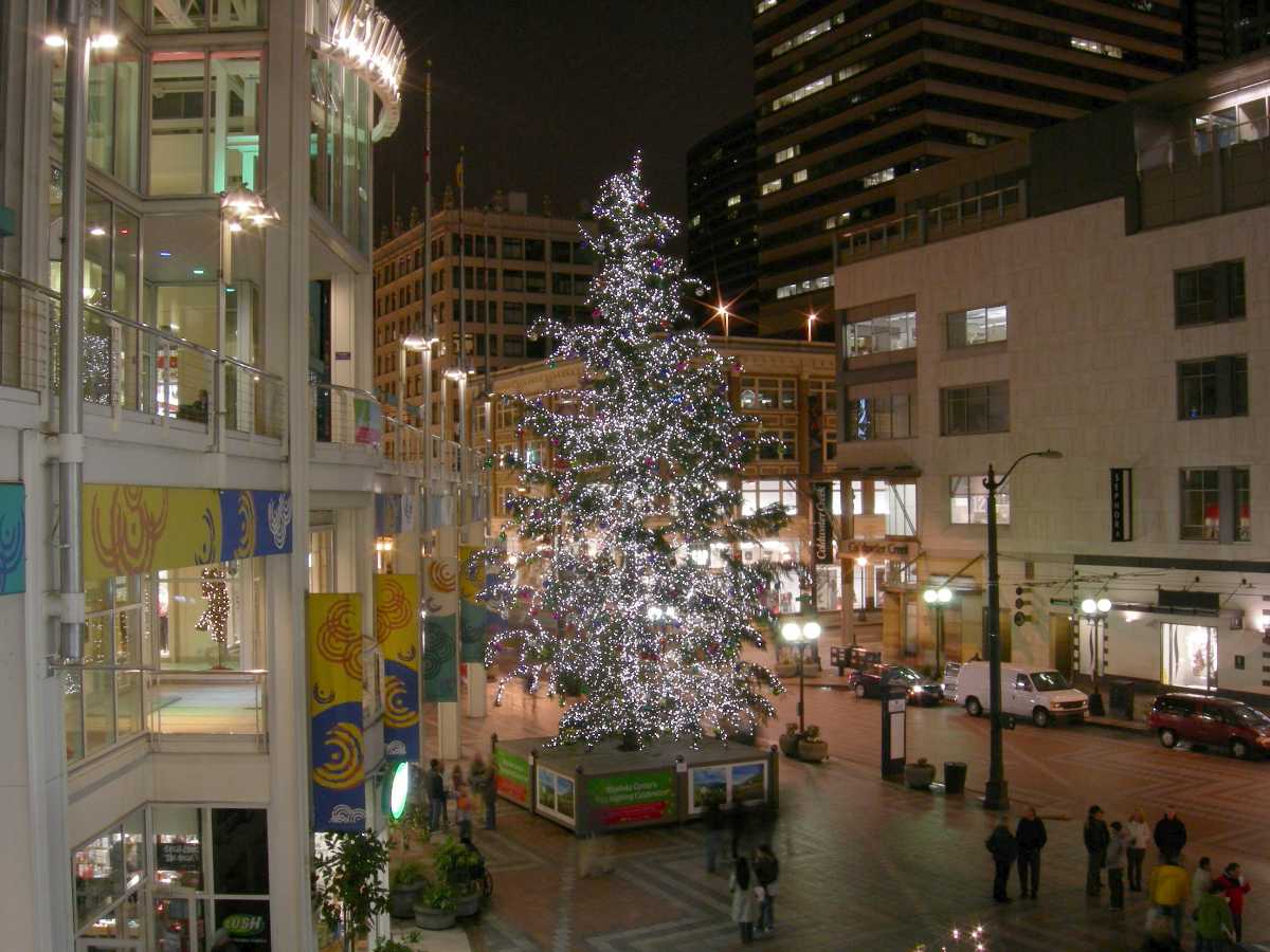 Christmas Lights In Seattle 2024 Peggi Tomasine