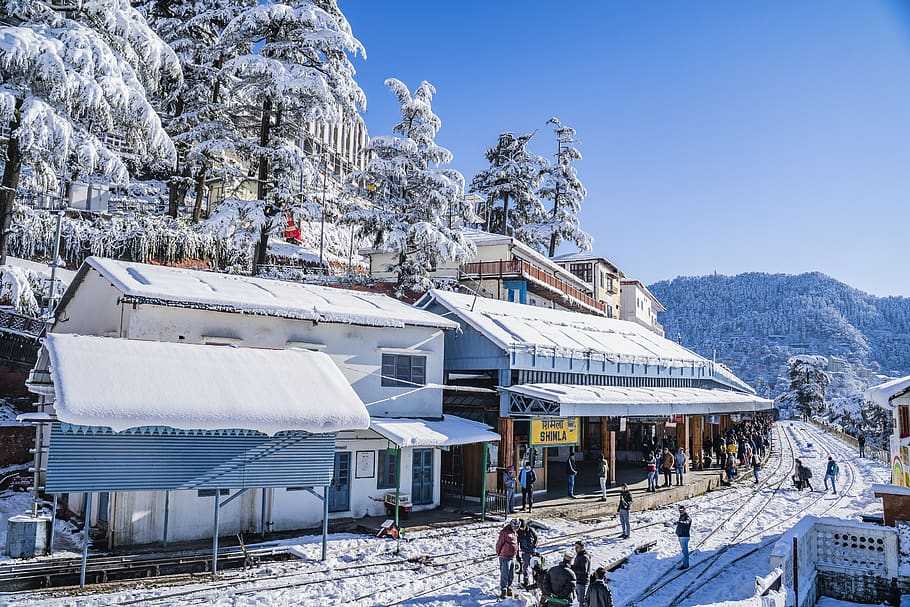 shimla india tour packages