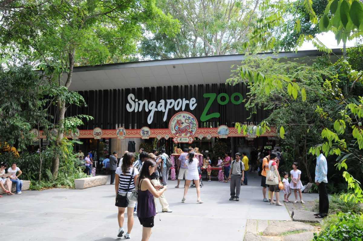 Singapore Zoo, Zoo