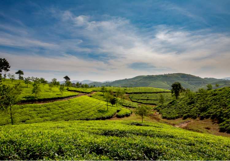 8 Vagamon Tour Packages: Book Vagamon, Kerala Trip Packages @best Price