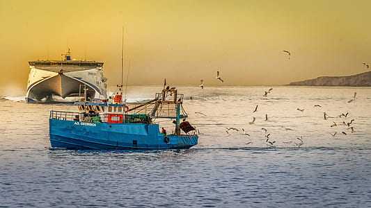 Fishing in Abu Dhabi