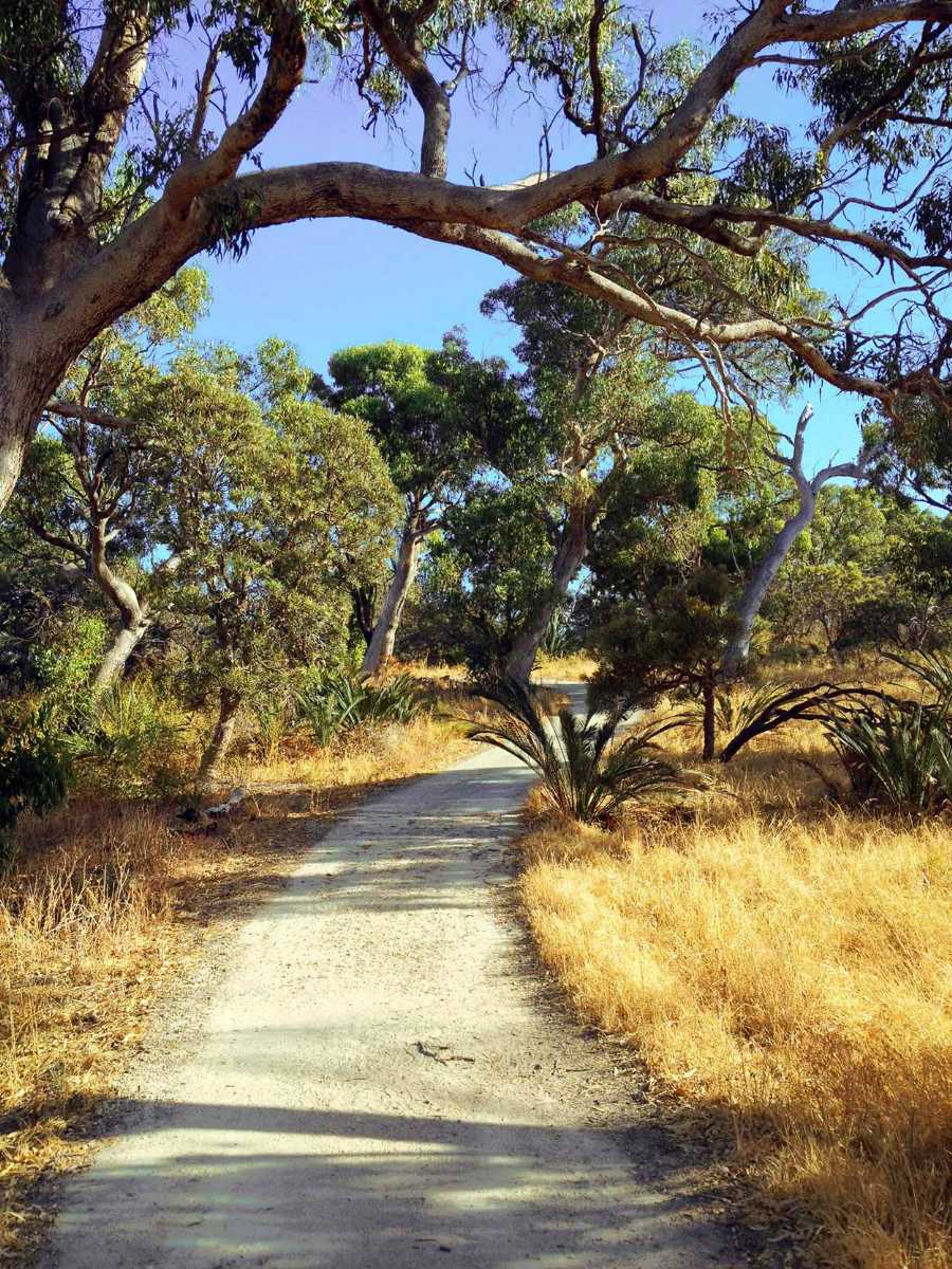 Top 12 Trails for Hiking in Perth 2024 | Holidify