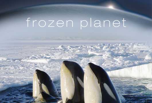 Frozen Planet, travel documentaries