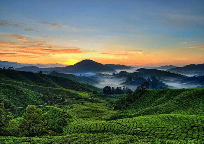 129 Munnar Tour Packages 2024: Get Best Deals & Compare Quotes