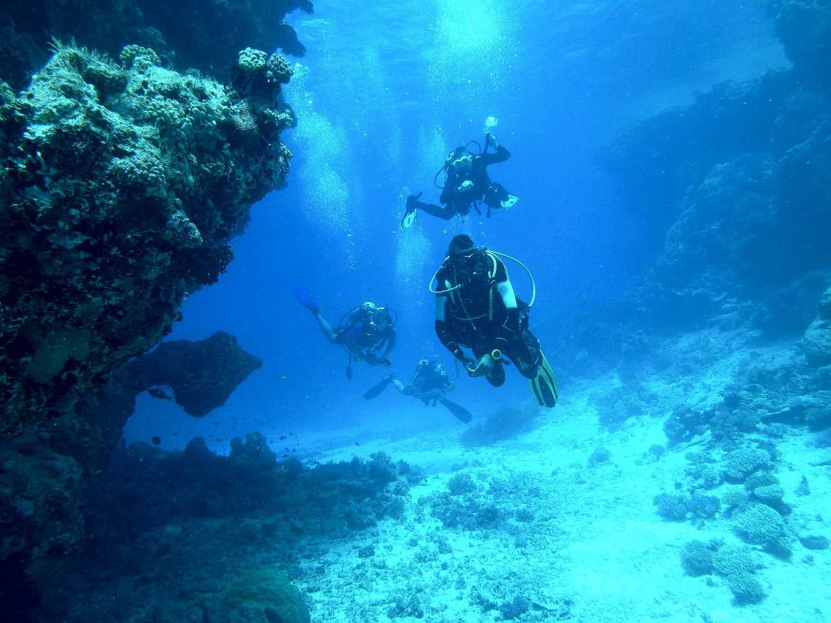Scuba Diving in San Diego: Cost Best Time and 6 Best Dive Sites