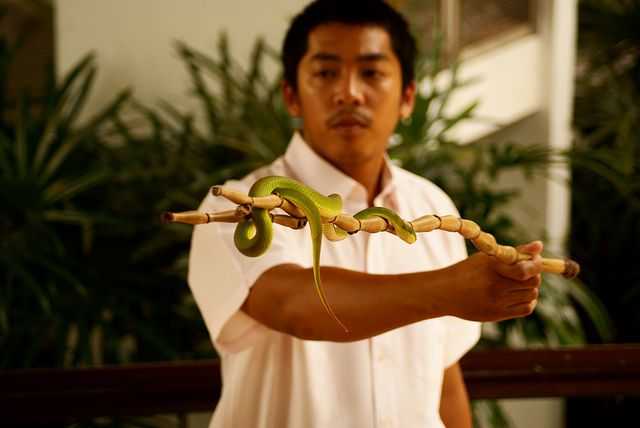 Snake Handler at Snake Farm Bangkok