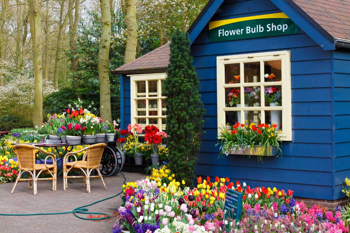 Flower bulb shop at Keukenhof