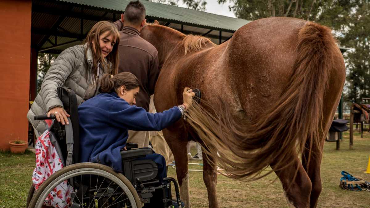 horse-riding-in-singapore-6-best-horse-riding-stables