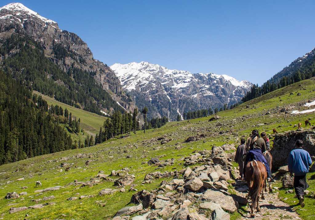 Horse Riding In India at Jammu and Kashmir Horse Riding