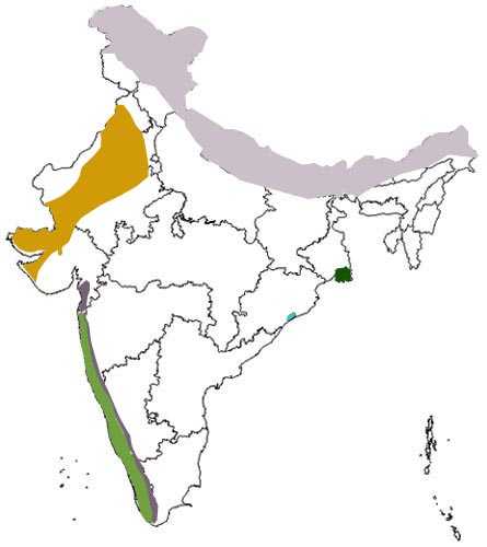 biodiversity hotspots in india