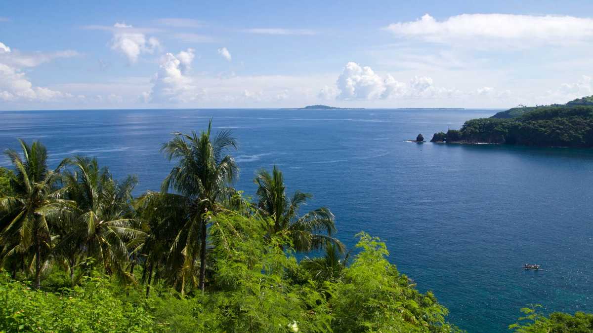 Diving in Lombok | Sites, Operators, Prices & Tips in 2024