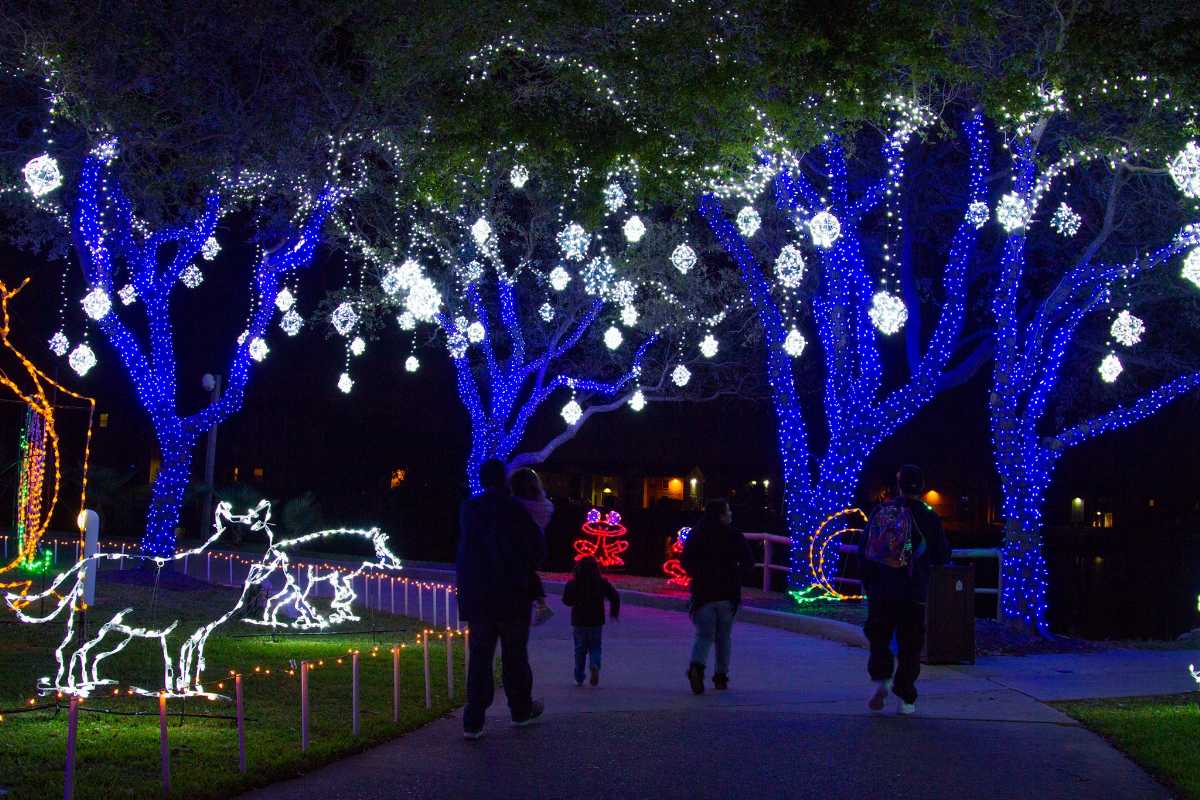 Christmas in Houston: 12 Ways to Spread the Holiday Cheer!