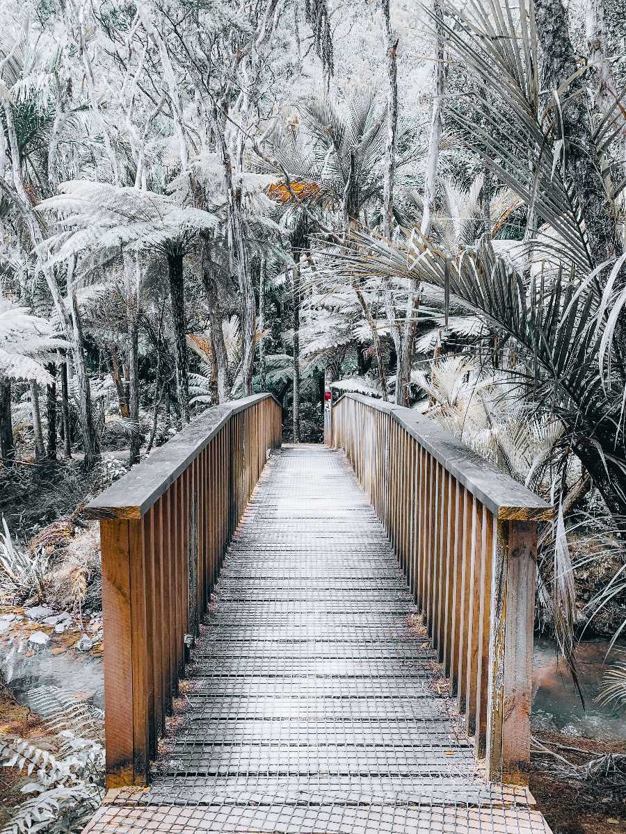 places to visit in nz in winter