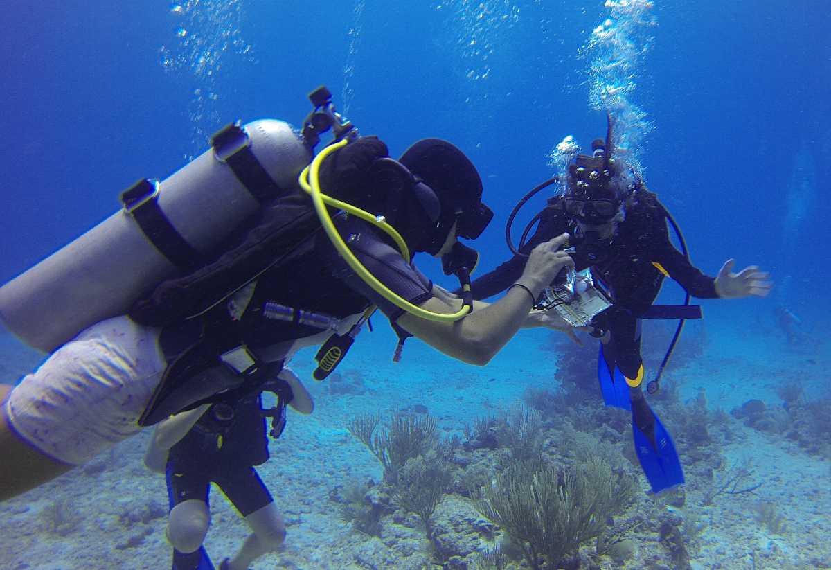 How to Get Started with Scuba Diving in San Diego