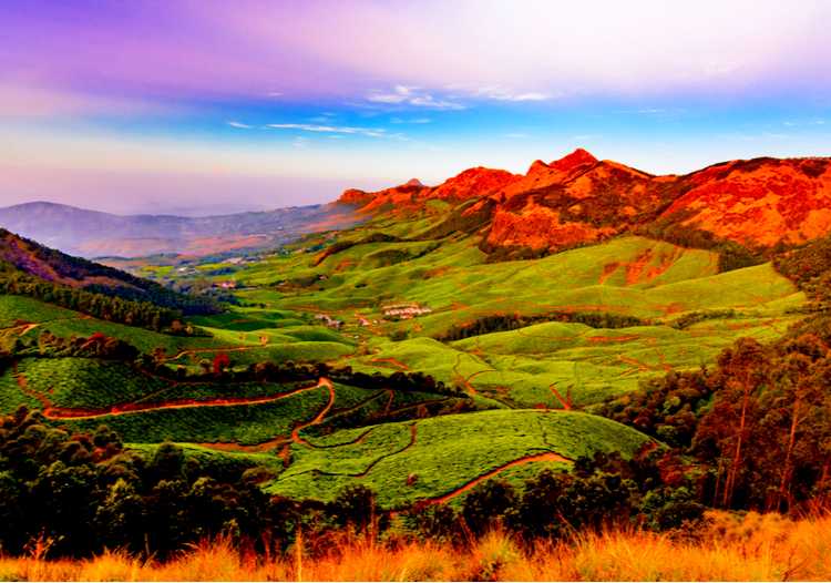 famous tourist spots of ooty