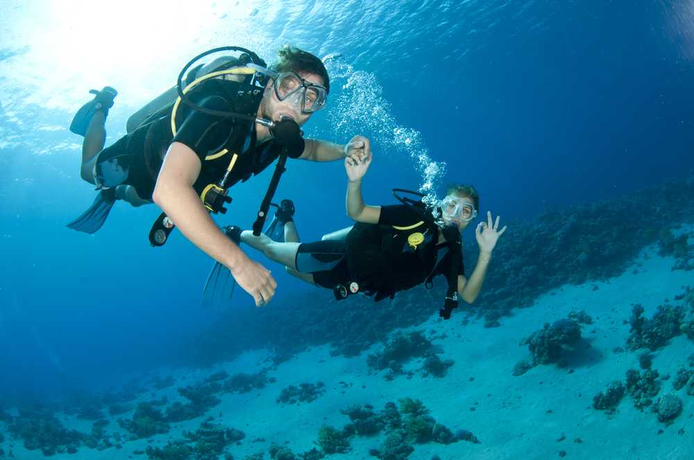 similan islands diving trip