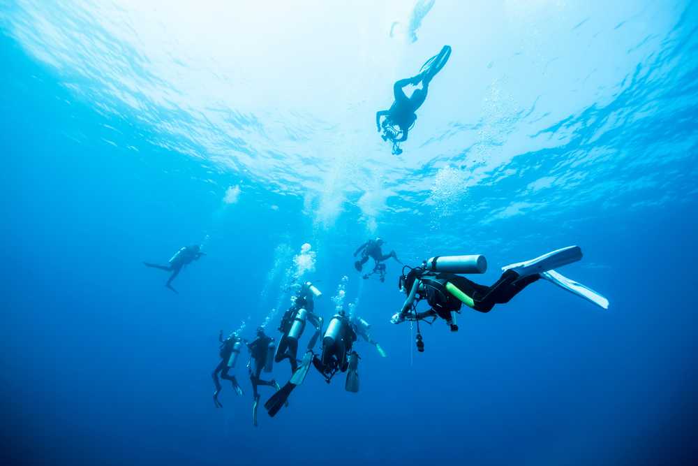 Diving In The Similan Islands - Top Dive Sites , Best Time, Cost - Holidify