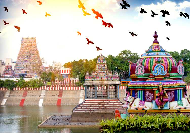 27 Chennai Tour Packages 2024 Book Holiday Packages at the Best Price