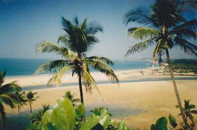 38 Goa Beaches List Of Best Beaches In Goa To Help You Decide