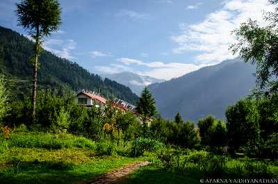 21 Shimla Manali Package 2024: Itinerary, Best Price - Holidify