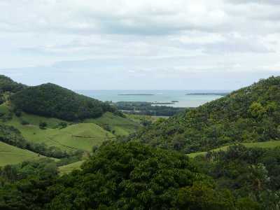 Domain du Chasseur Game Park and Reserve Mauritius Things to Do