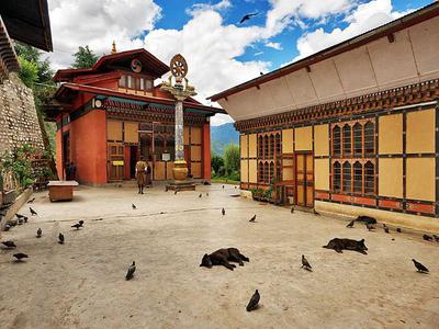 Phajoding Monastery, Thimphu, Bhutan | History, Hike to Phajoding ...