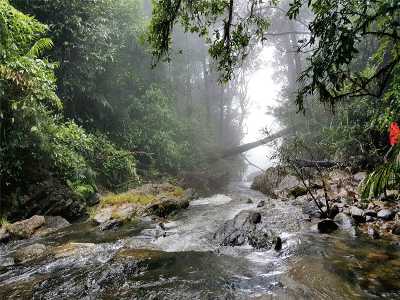 Exquisite Resorts in Shimoga by Malnad Stays| Starts @1299