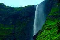 Malshej Ghat | Best Time to Visit | Top Things to Do | Book Your Trip -  Travel, Stay, Packages, Visa, Activities - MakeMyTrip